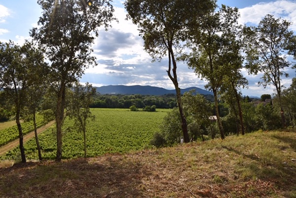 La vue depuis les parcelles